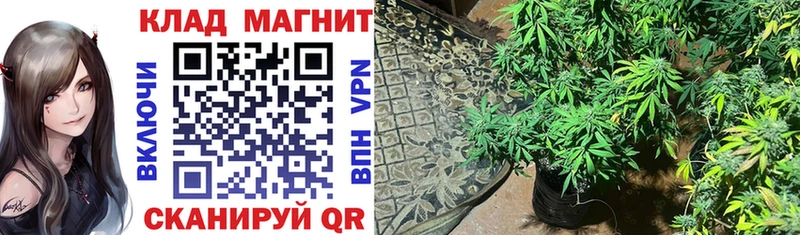 Цена Советская Гавань КОКАИН Меф mega как войти ГАШ