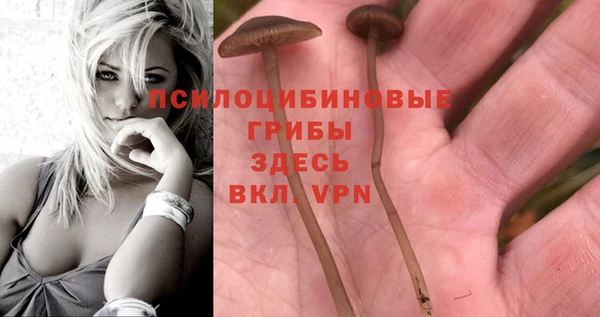 не бодяженный Армянск
