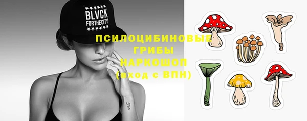 стафф Аркадак